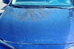 Windshield-Replacement-1