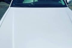 Windshield-Replacement-1